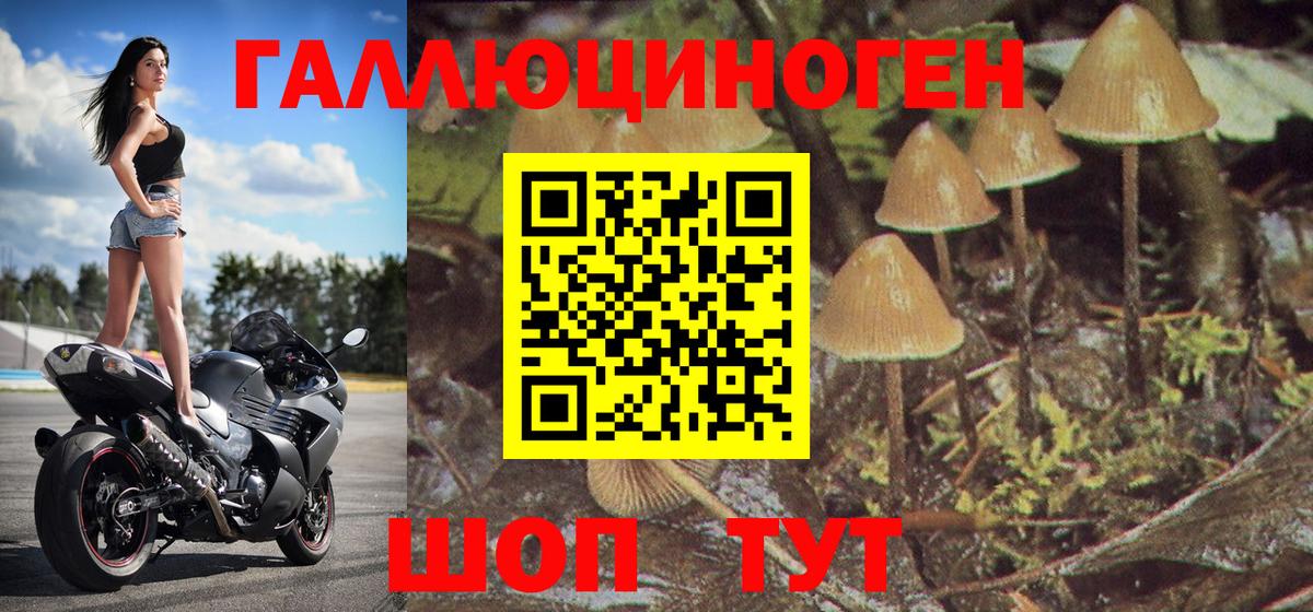 Орёл  Галлюциногенные грибы Psilocybe  Вход с VPN  Галлюциногенные грибы мухоморы 